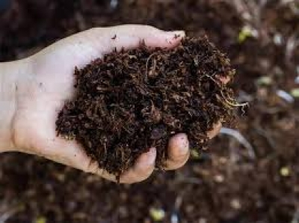TN Cooperatives to Sell Seeds, Fertilisers for Cash at Prices within MRP