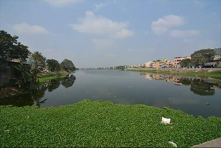 Untreated Sewage Continues to Flow into Noyyal River in TN'S Coimbatore as STP Project Stalled