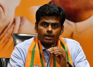 AIADMK Blames TN BJP Chief Annamalai for NDA's Split, Drubbing in Lok Sabha Polls