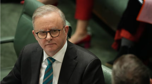 Will Keep Working to Grow Economic Ties with India: Australian PM Albanese