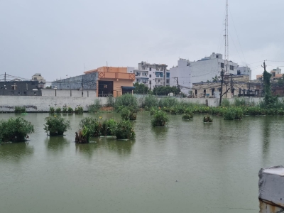 Assam Flood: RS 160 Crore Transferred to Affected Families, Says CM Sarma
