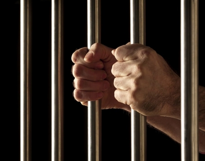 'Trauma of Giving Birth in Prison like Lord Krishna or Related Social Stigma Not Bearable for Anyone': Court on Bail for TCS Staffer 