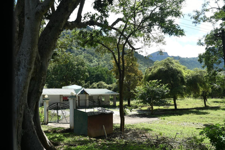 Crackdown on Illegal Homestays, Cottages Intensified in TN'S Nilgiris
