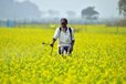 TN's PAP farmers seek Rs 14.98 crore for canal restoration as monsoon shortfall raises concerns