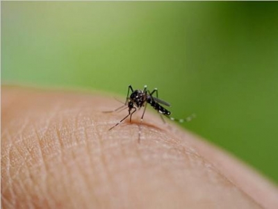 Chennai hospitals struggle with surge in flu, respiratory infections and dengue