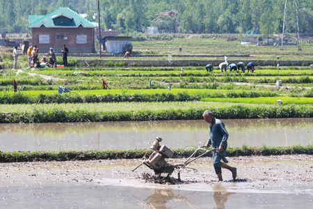 'BHARATI' to Empower 100 Agri-food Startups, Target $50 Billion Exports by 2030