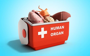 Tamil Nadu Leads India in Organ Donation: Minister KG Arun Raj