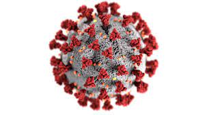 Omicron spreading at unprecedented rate: WHO