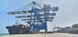 MSC Group's Arm to Invest around $1.4 Billion for 49 PC Share in Adani's Vizhinjam Port
