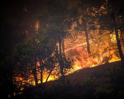 Thousands Evacuated as Wildfire Rips through Spanish Island