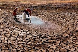 Over Half of Harvest Destroyed Due to 'historic' Drought in Zimbabwe: UN