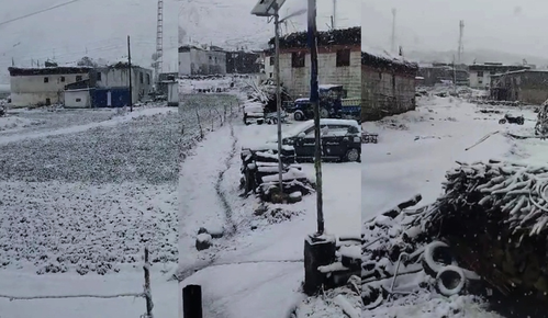 First Snowfall of Season Hits J&K Mountain Passes; Gulmarg Treats Tourists to Fresh Snow
