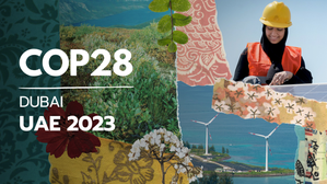 'Including Language on Fossil Fuels Will Be Historic', Says COP28 DG before Climate Talks Conclude