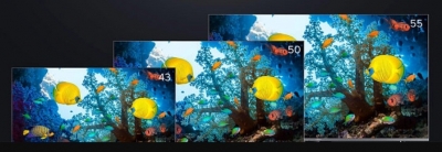 India Smart TV Market Grows 28%, Homegrown Brands Capture 24% Share