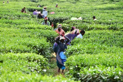 NFR Engages Tea Industry Stakeholders to Boost Containerised Rail Transport 