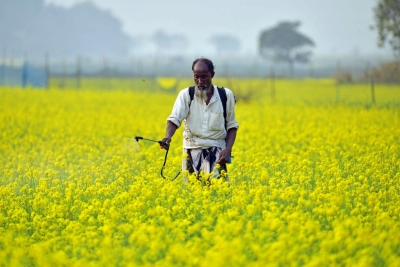 Farmers Urged to Harvest Crops within 3 Days as MP Braces for Turbulent Weather