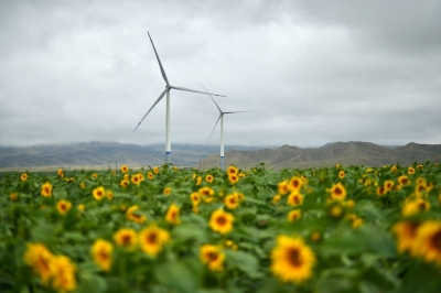 Israel Unlikely to Meet 2030 Climate Goals: Report