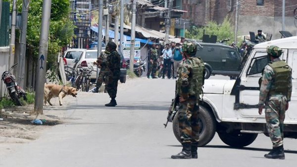 Militants kill Kashmiri Pandit, injure brother in J&K's Shopian